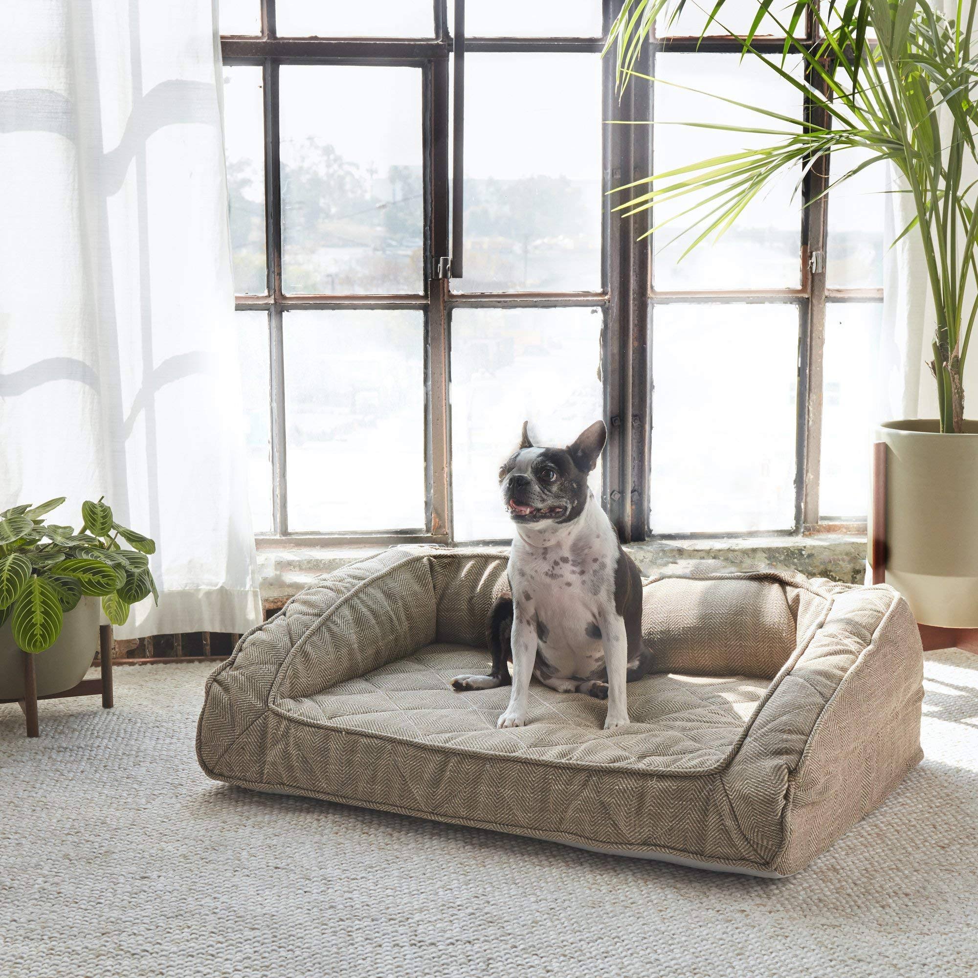 Orthopedic Pet Bed Sandstone P1168