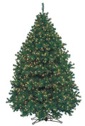 7.5' Pre-Lit Alaskan Fir Tree with Clear Incandescent Lights I57685