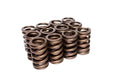 Valve Springs - Single Outer R96641