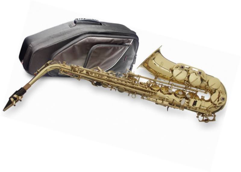Alto Saxophone with Soft Bag W973