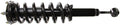 Suspension Strut and Coil Spring Assembly E541