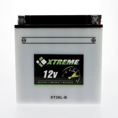 12V 300cca Powersport Battery B646410