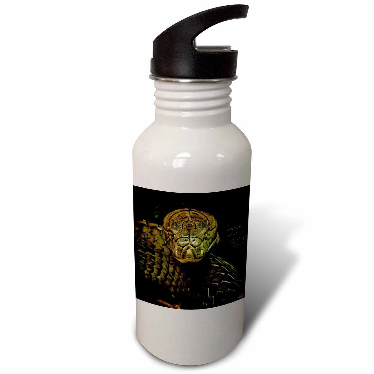 Green Coiled 21 oz Sports Water Bottle G377681