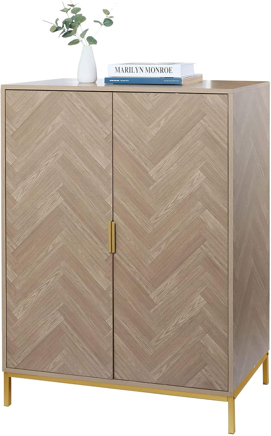 Modern Accent 2 Doors Storage Cabinet with Golden Legs and Matte Black Finish F416