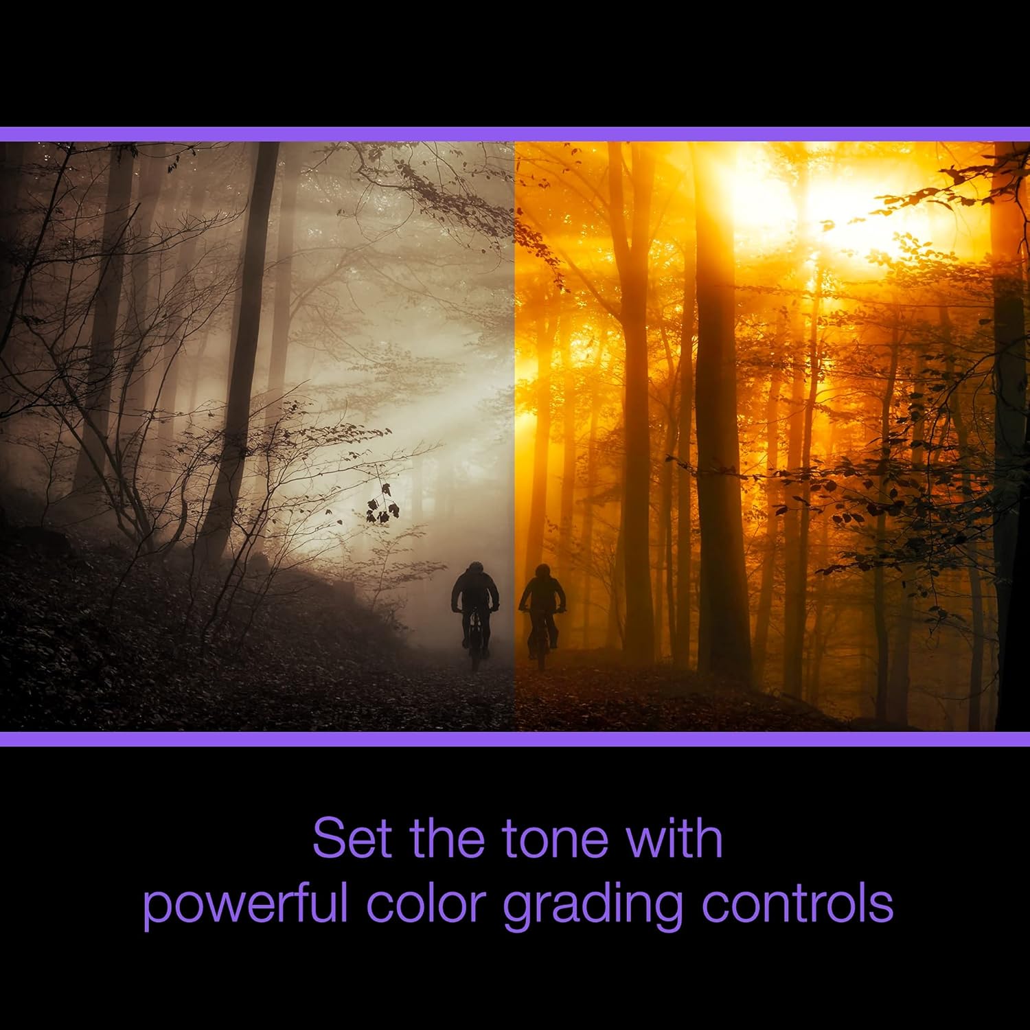 Video Editing & Screen Recording Software T489893