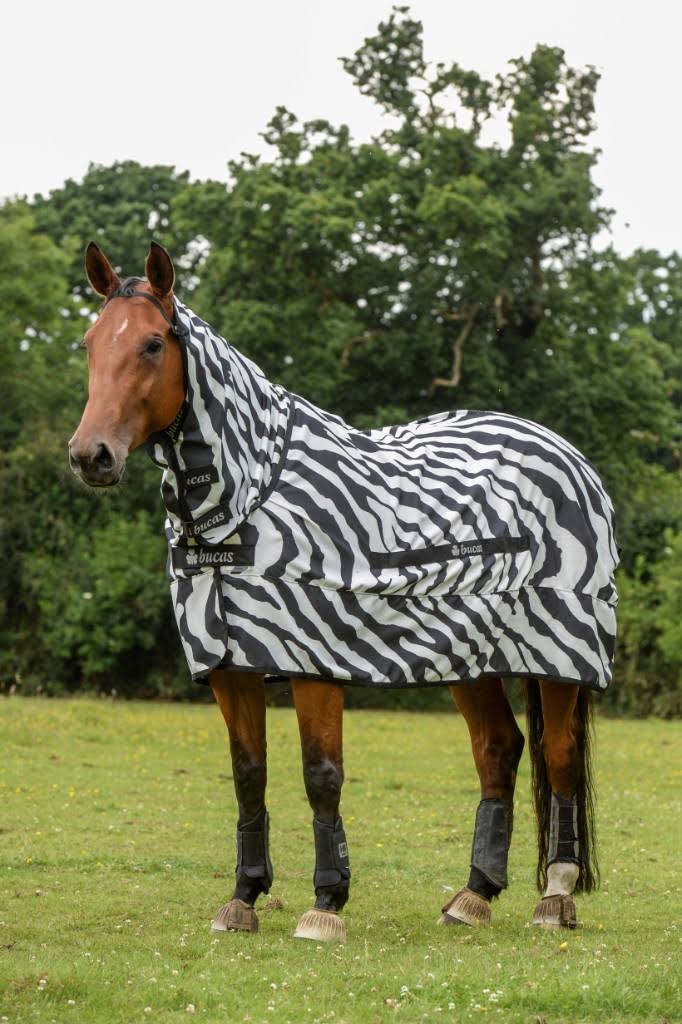 Zebra Sweet Itch W289446