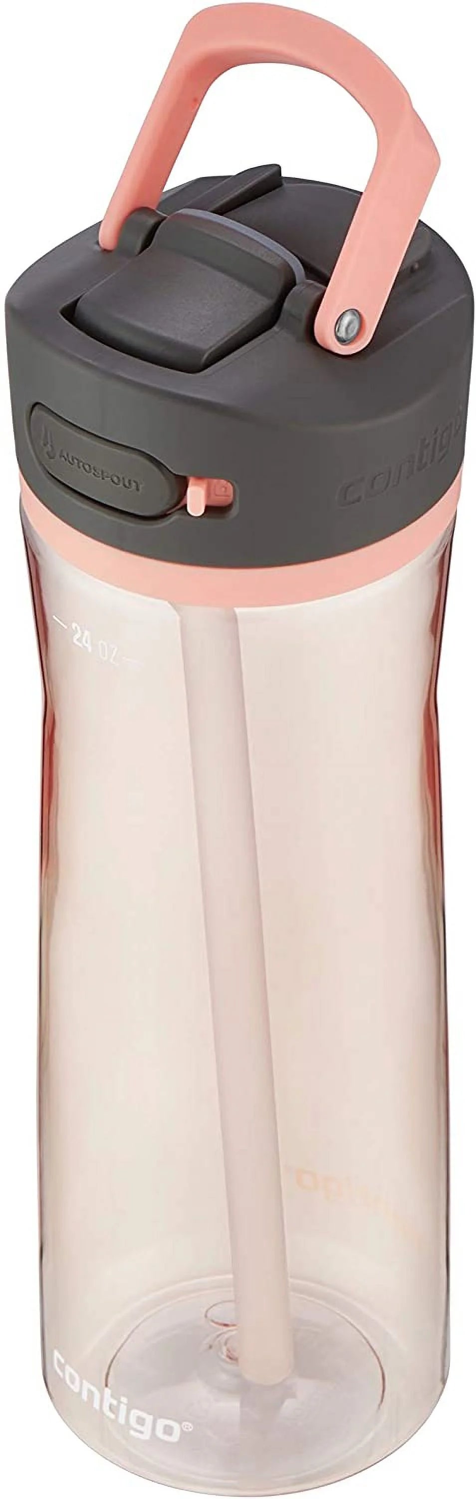 24oz Leak-Proof Water Bottle with Lid Lock and Angled Straw B234