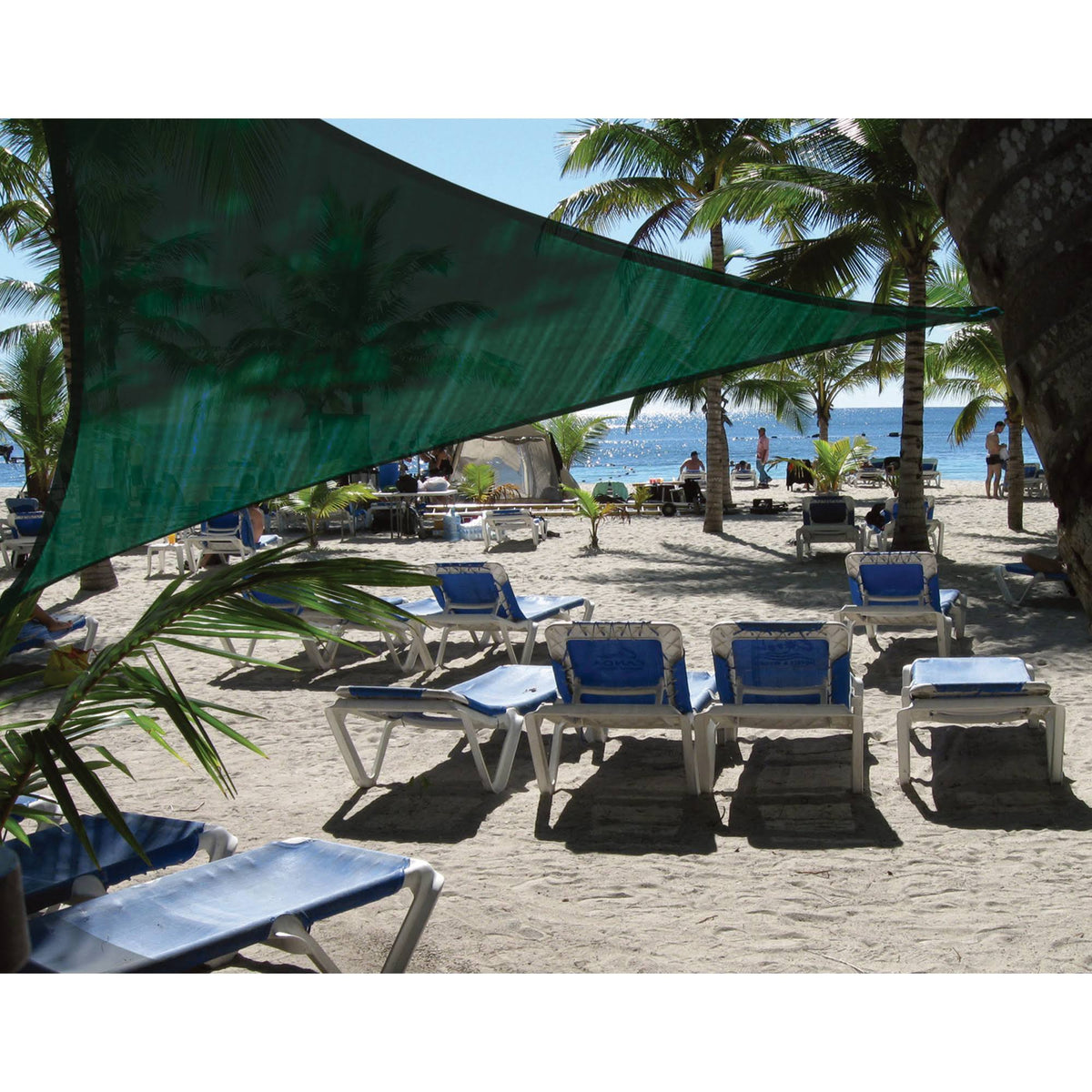 Triangle Sun Shade Sail, 16-Feet, Evergreen X346396