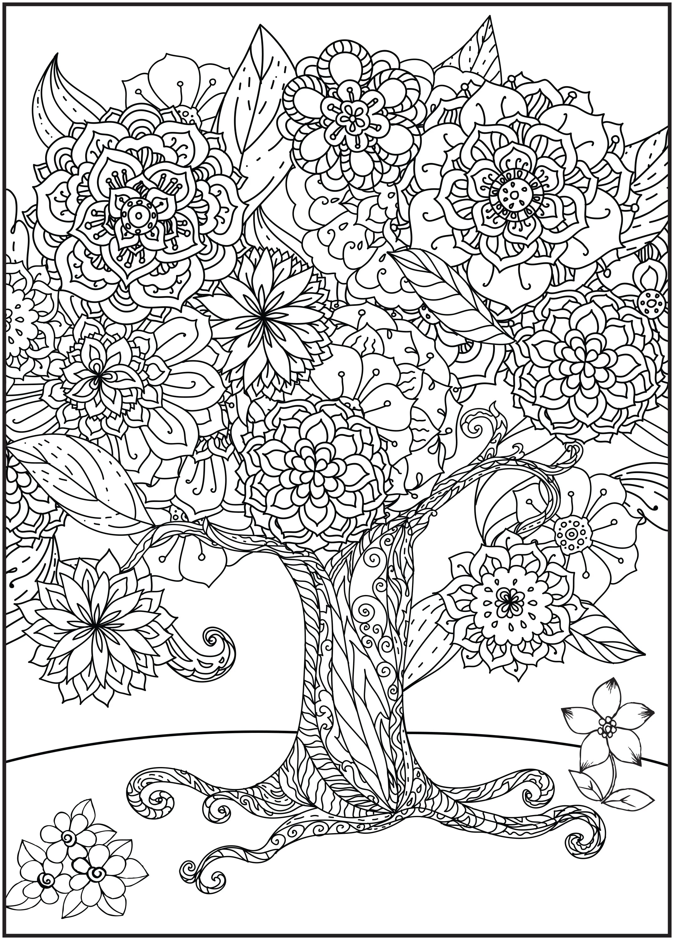 64 Pages Adult Coloring Book X79868
