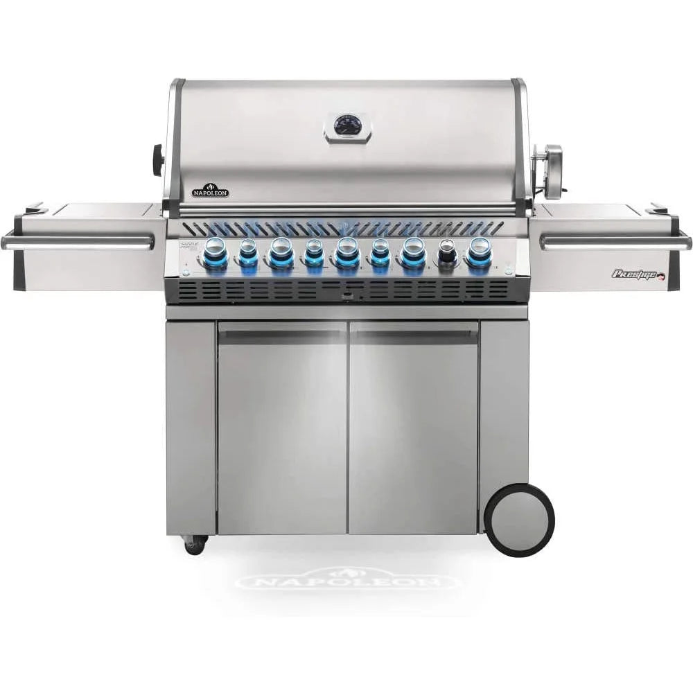Propane Outdoor Grill with 5 Burners and Grill Cover Black S154