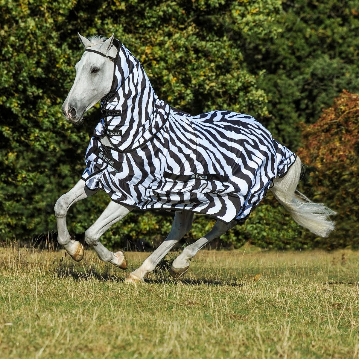 Zebra Sweet Itch W289446