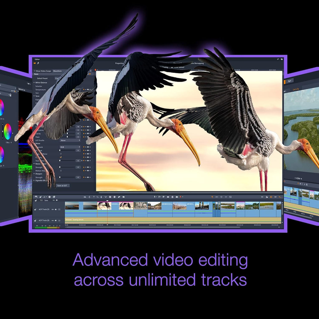 Video Editing & Screen Recording Software T489893