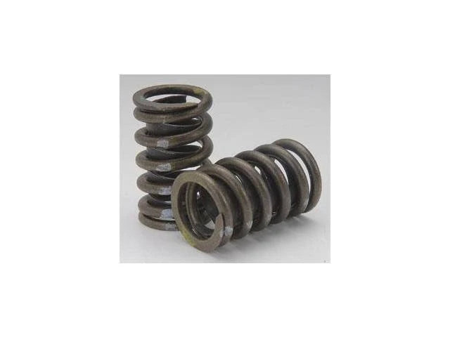 Valve Springs - Single Outer R96641