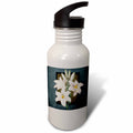 21 oz Sports Water Bottle B963359
