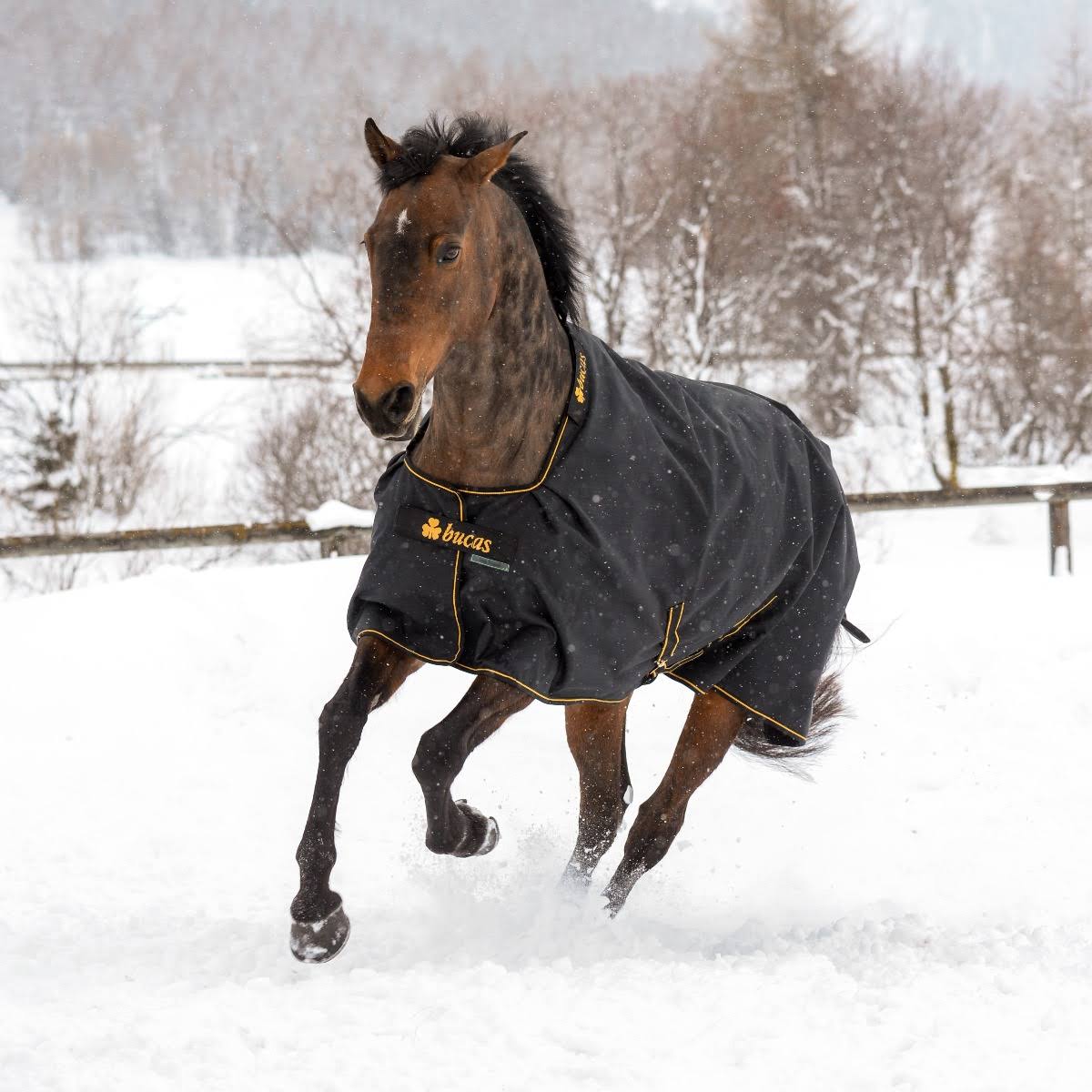 Black / Gold Light Turnout 50 Grams M940103