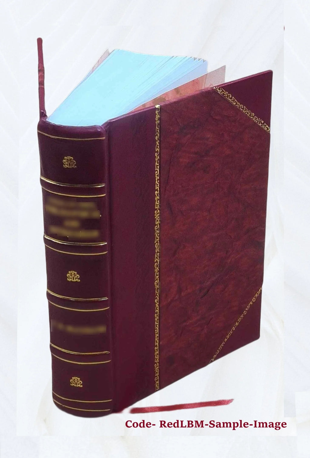 Leather Bound Book K219105