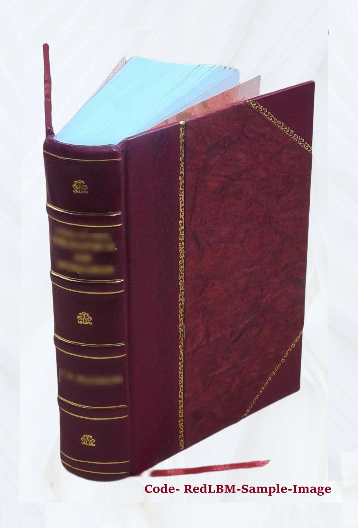 Leather Bound Book K219105
