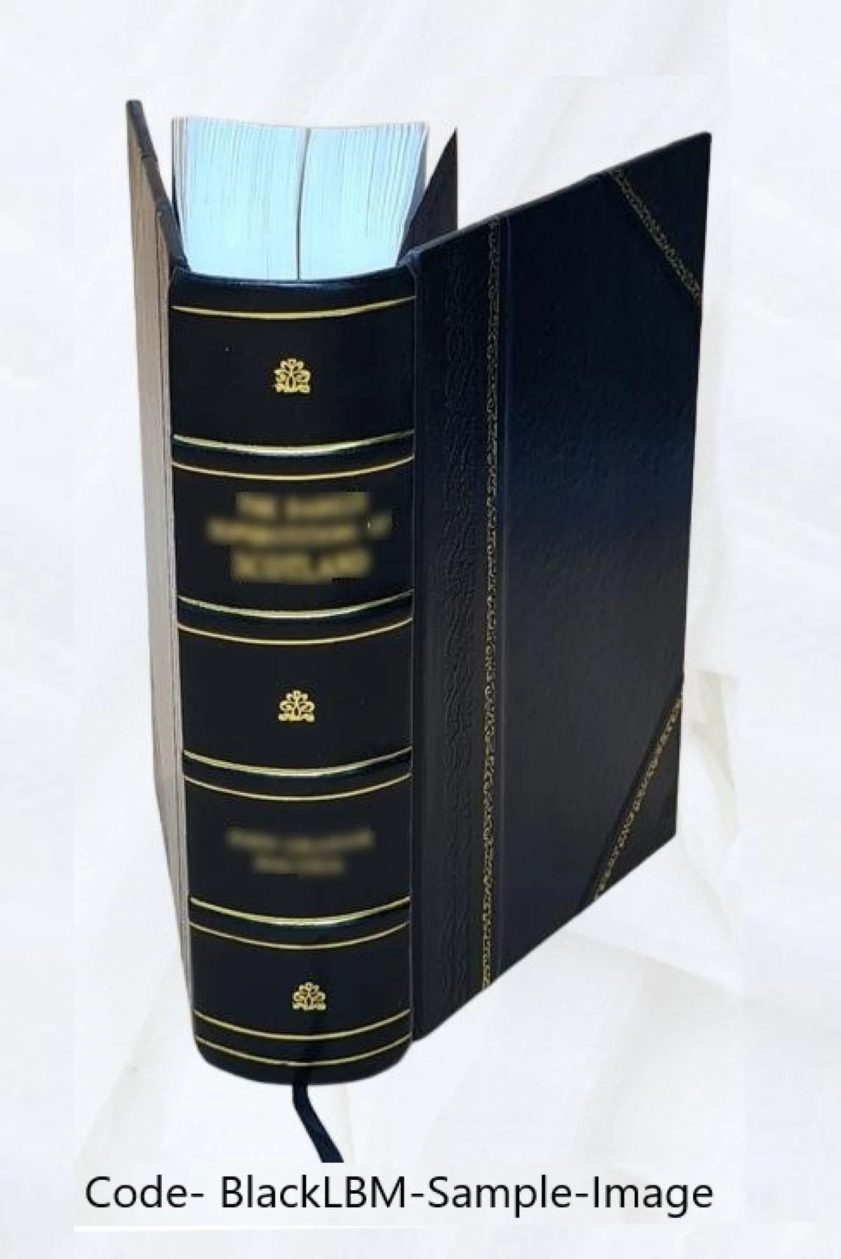 Leather Bound Y137821