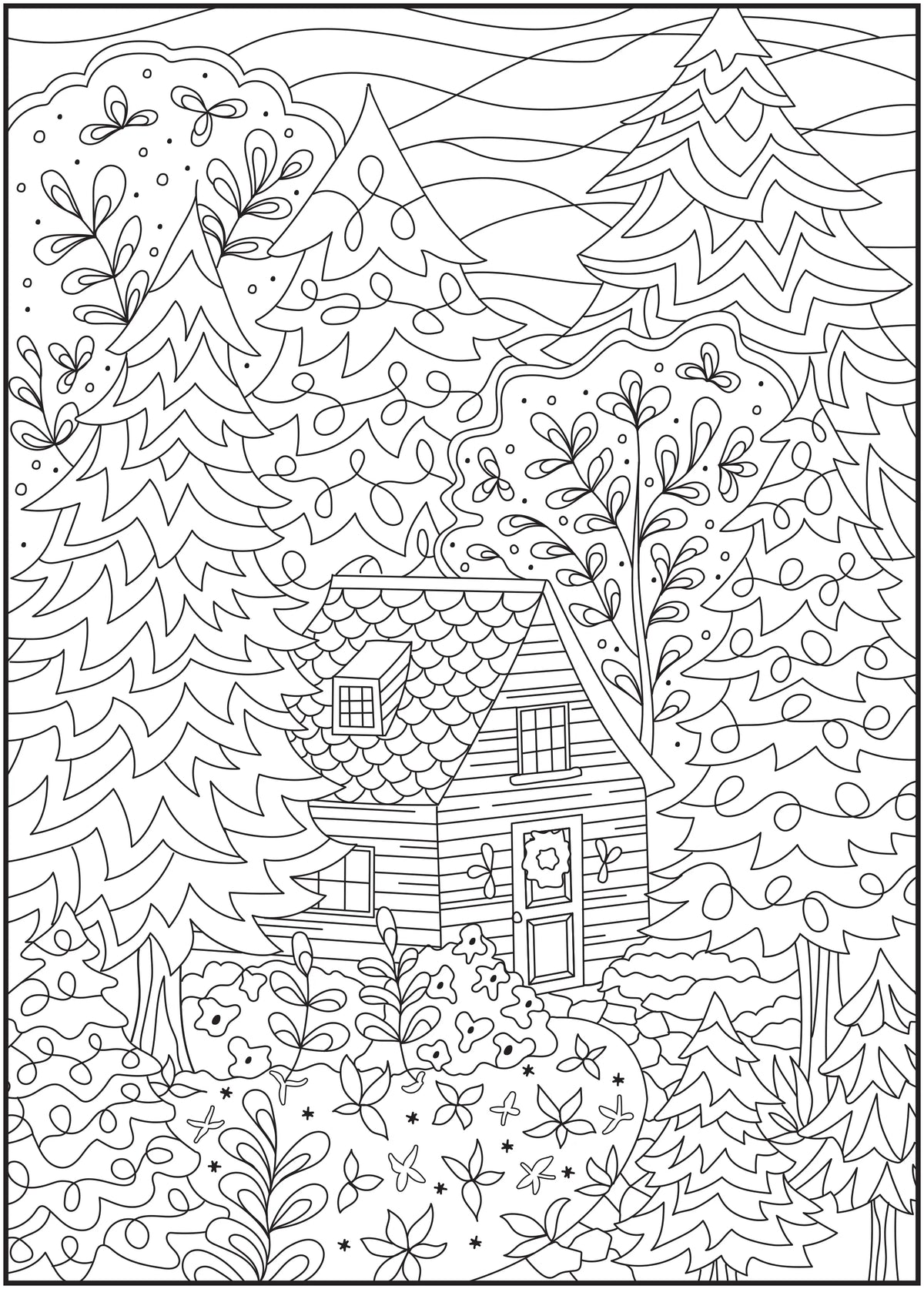 64 Pages Adult Coloring Book X79868
