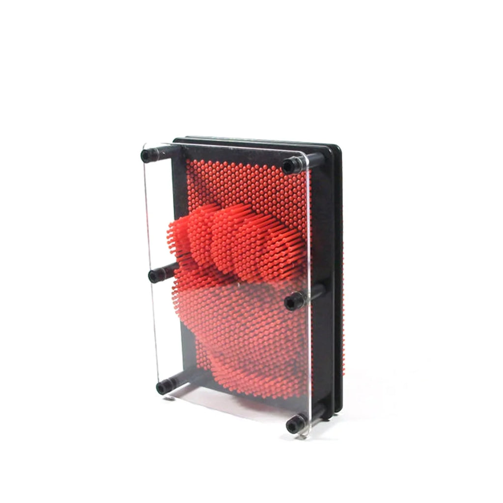 3D Pin Art Impression Board X283