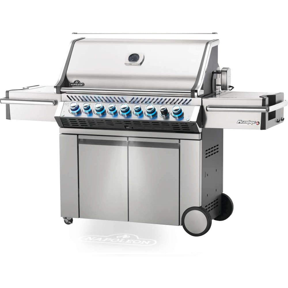 Propane Outdoor Grill with 5 Burners and Grill Cover Black S154