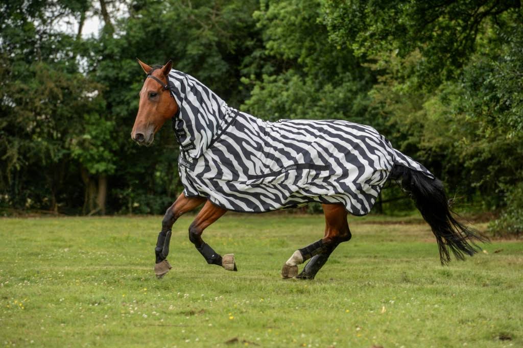 Zebra Sweet Itch W289446