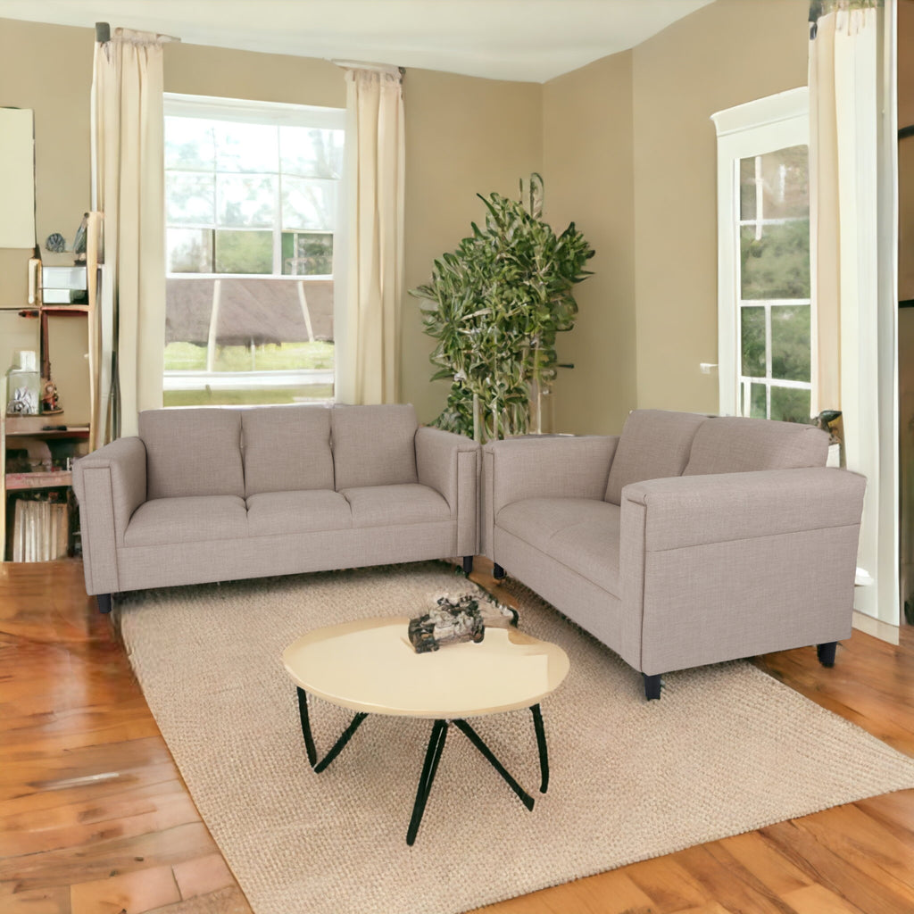 Modern Loveseat and Sofa Set P43211