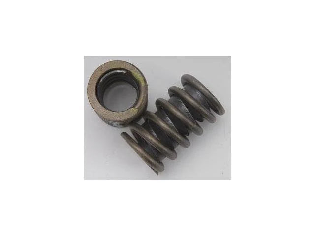 Valve Springs - Single Outer R96641