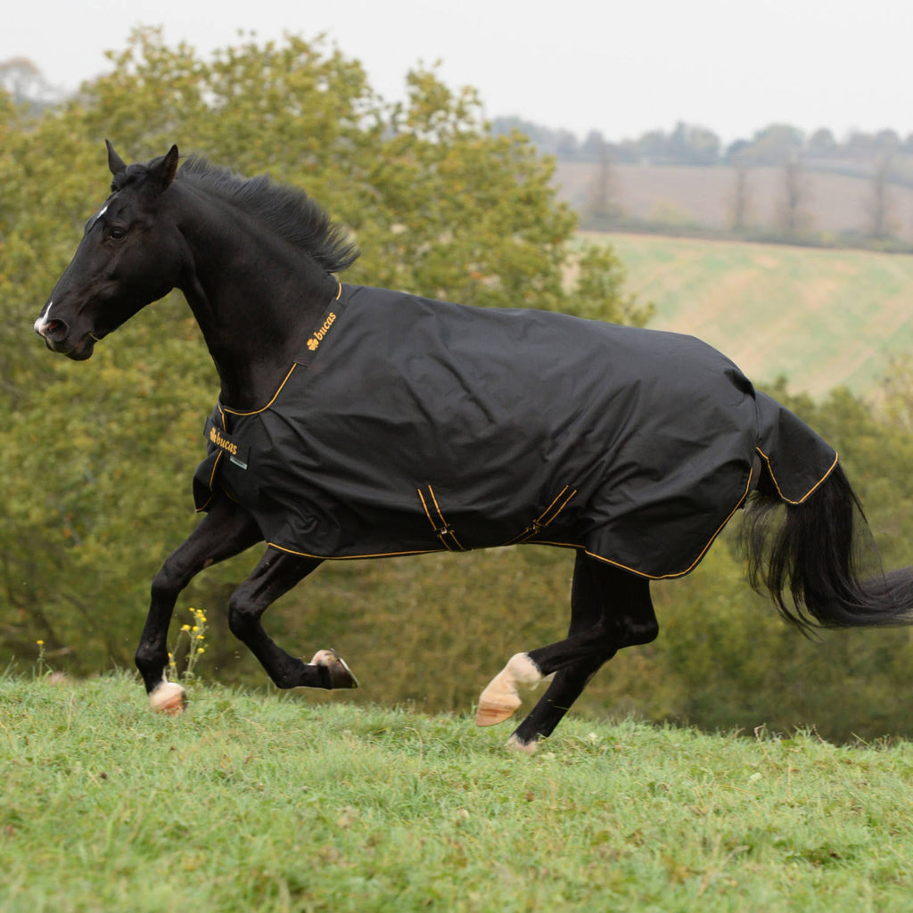 Black / Gold Light Turnout 50 Grams M940103