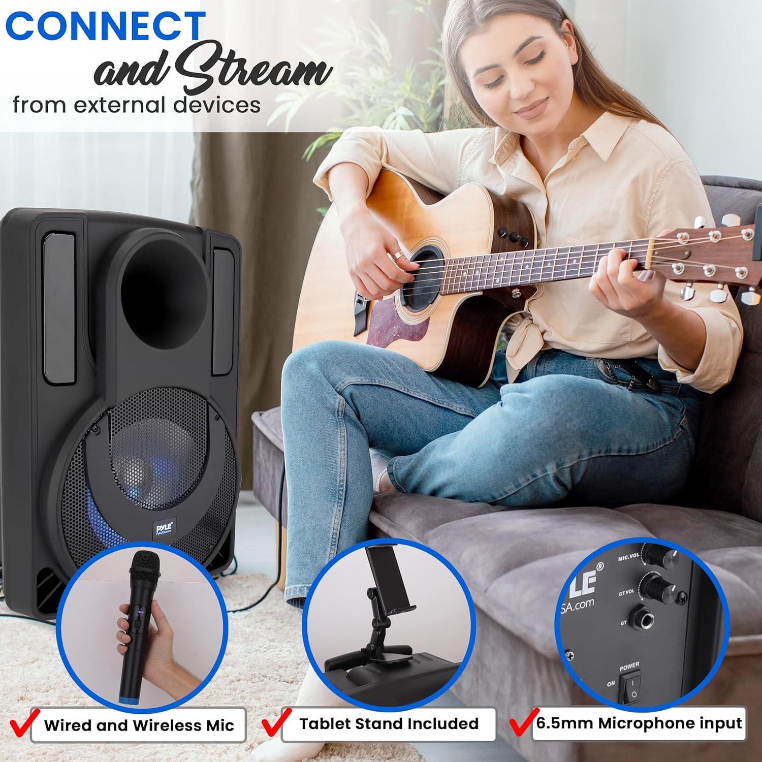 12’’ Portable PA Speaker System with Two Wireless Mic F382