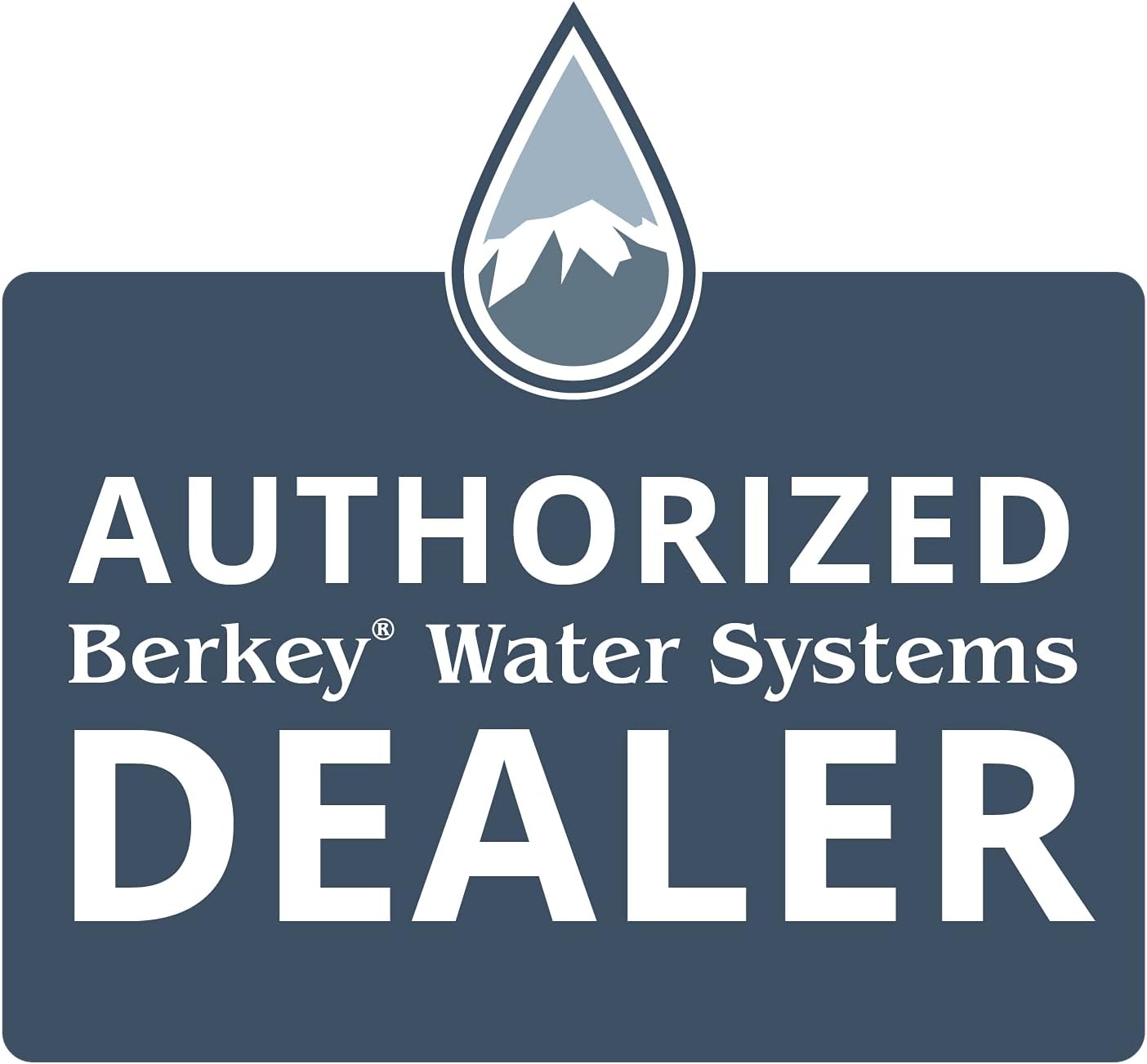 Black Berkey Purification Elements Water Purifier Replacement Filters (Pack of 2) S698