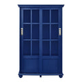 Blue Standard Bookcase D916771