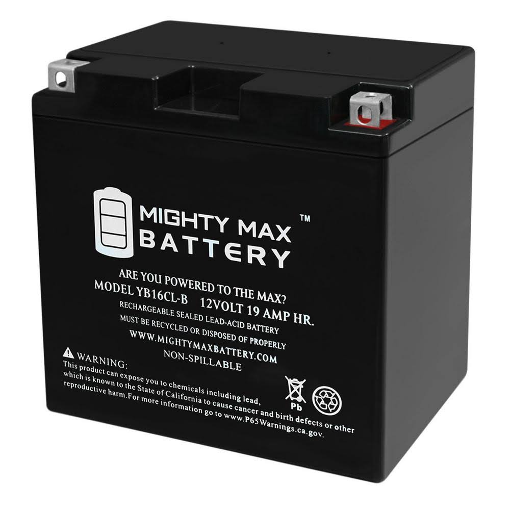 12-Volt 19 Ah 250 CCA Rechargeable Sealed Battery P2971
