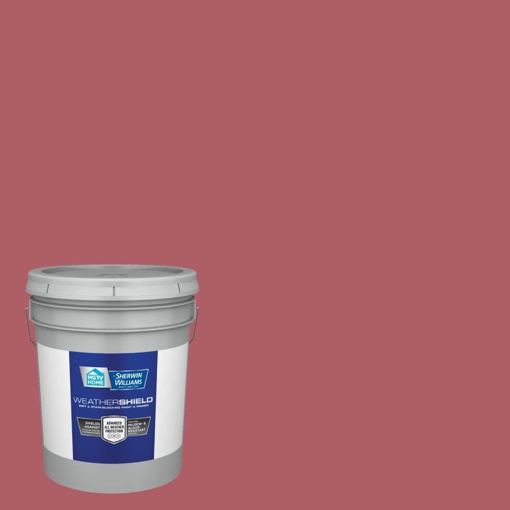 5-Gallon Exterior Paint D54990